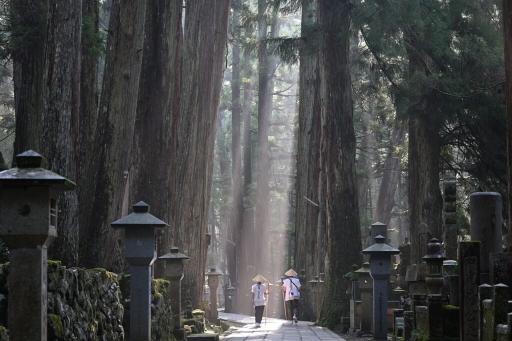 koyasan temple, road, forest, trees, fog, landscape, nature, forest, forest, forest, forest, forest, landscape, landscape, landscape, landscape