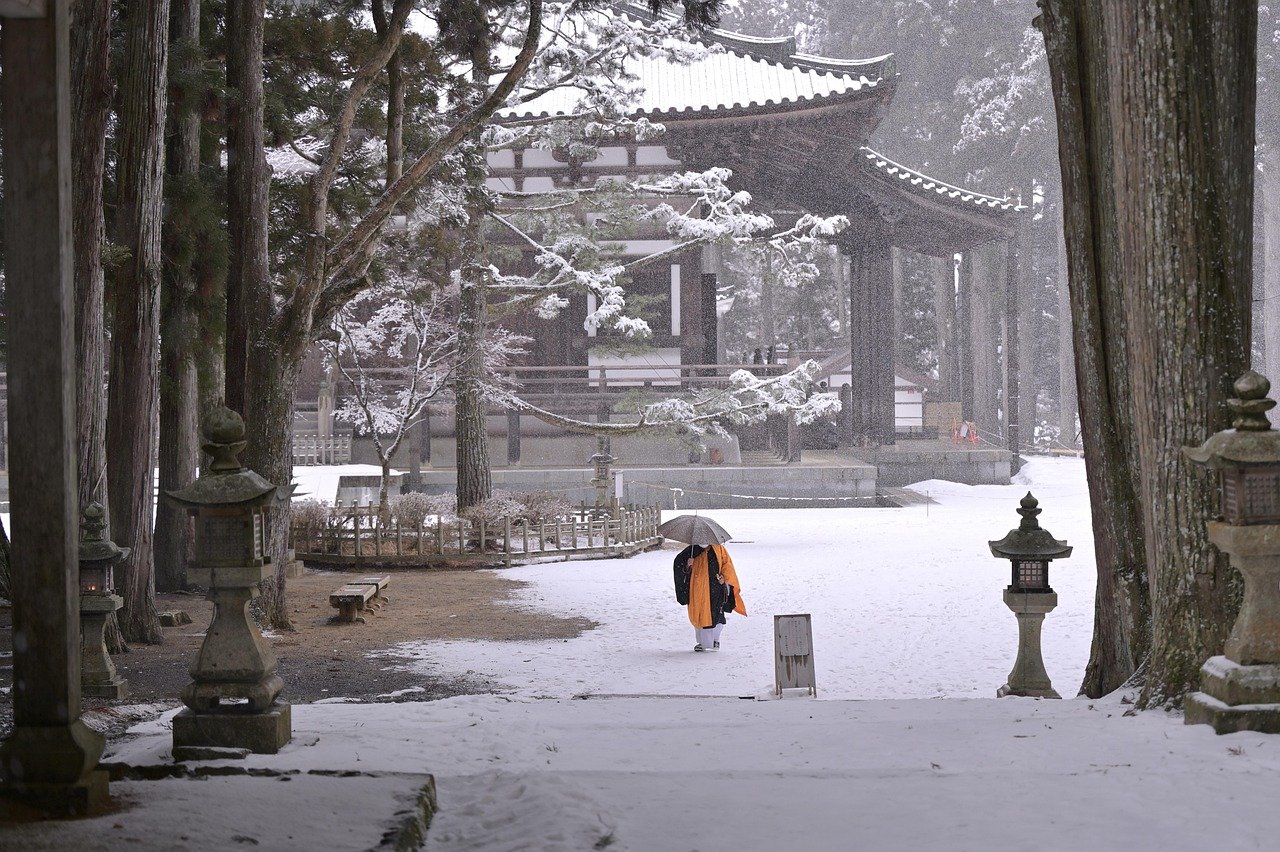 monk, nature, umbrella, pathway, snow, koyasan, monk, monk, monk, monk, monk, snow, snow, snow