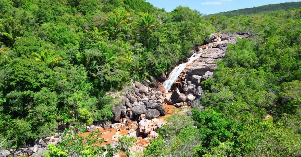 A beautiful waterfall flowing through a vibrant green forest in Roraima, Brazil, capturing nature's serenity.