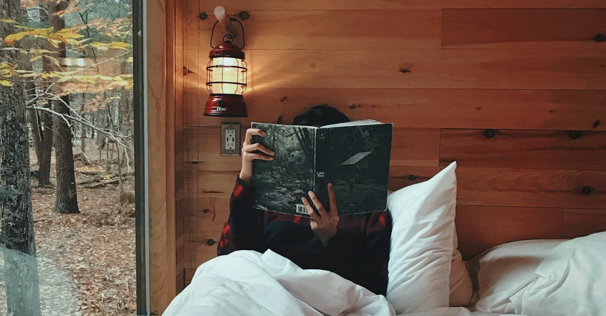 Person comfortably reading in a warm wooden cabin with a scenic fall view.